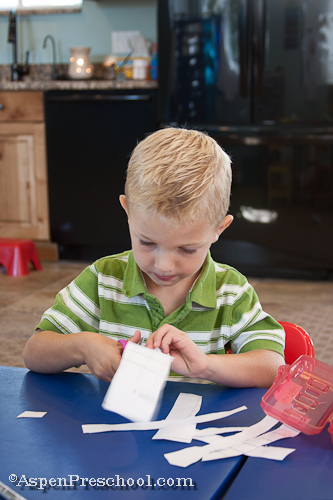 Fine Motor Skill Development